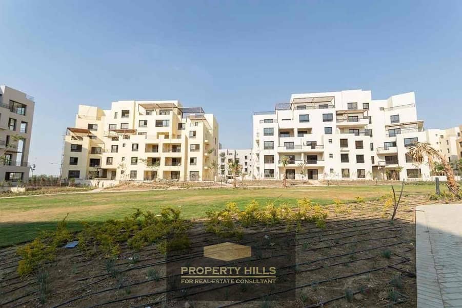 10 9e7e7c1e-4eba-4ea8-8bdb-ff7e9f11dffa. jpg