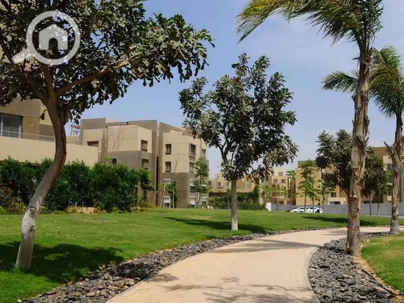 7 palm-park-1667480804. jpg