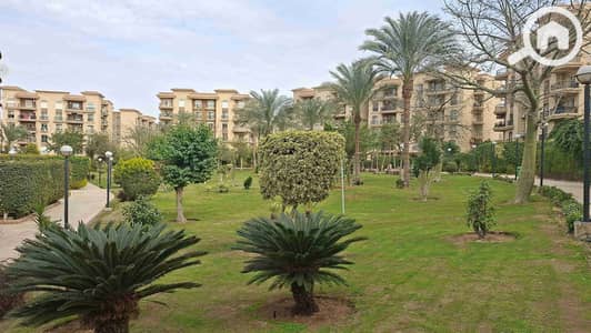 3 Bedroom Flat for Rent in New Cairo, Cairo - 1000480837. jpg 3 Bedroom Flat for Rent in New Cairo, Cairo - 1000480837. jpg