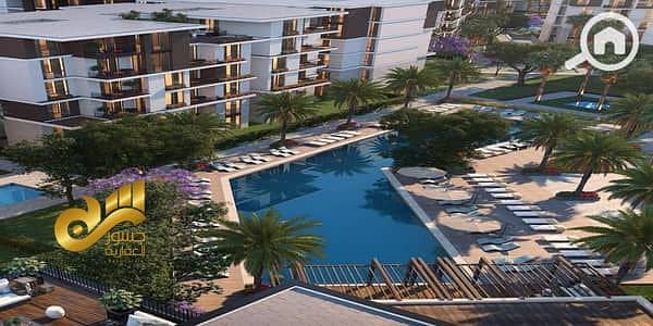 5 36366669-400x300. jpeg