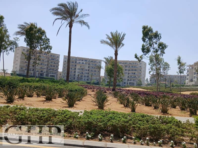 3 3a11b06a-c899-4f0e-a5c7-d721f341a205. jpg