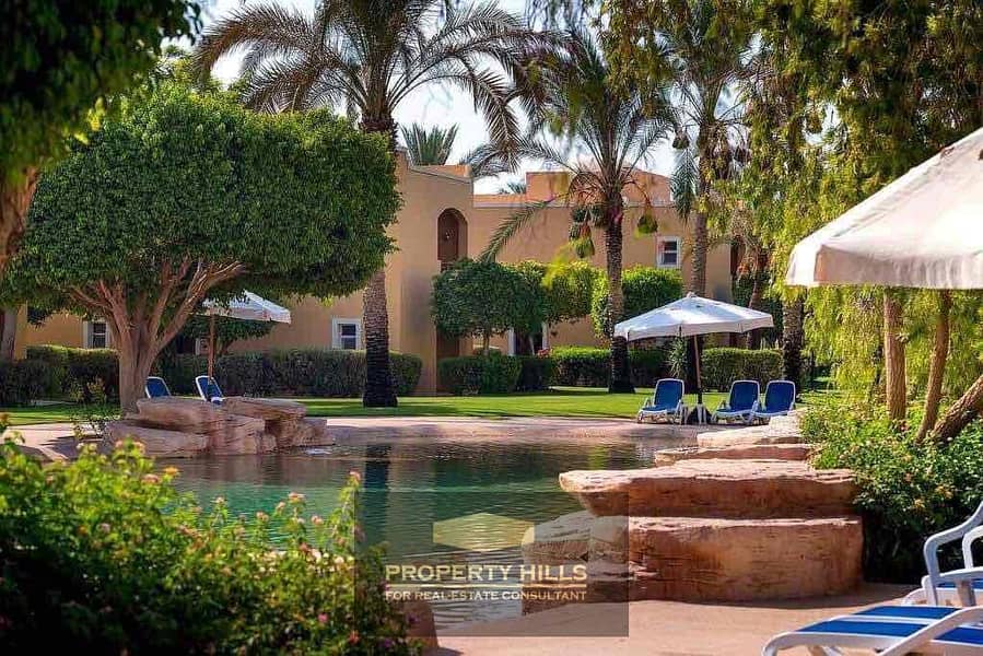 3 e31e40c2-6b44-45e6-b36a-939915af2698. jpg