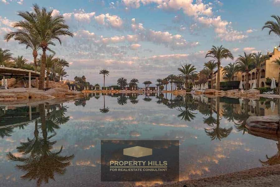 4 0d138d88-1428-4869-84e4-7e7f58b7e4f7. jpg