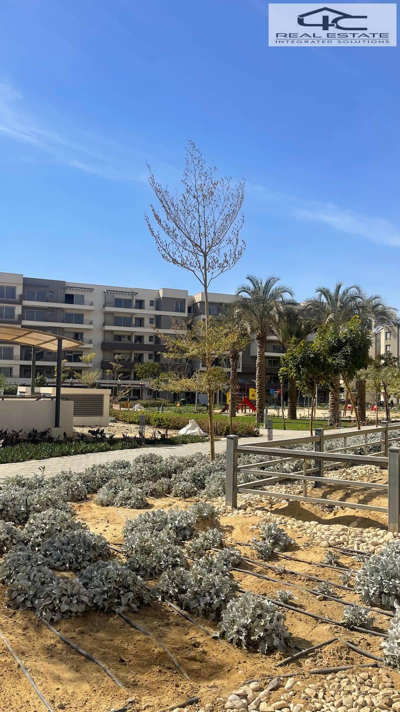 8 WhatsApp Image 2025-04-12 at 3.22. 39 PM. jpeg