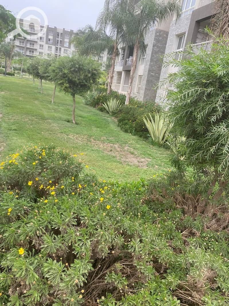 7 6b81f4e9-7142-4847-a5fe-806efb4343f1. jpg