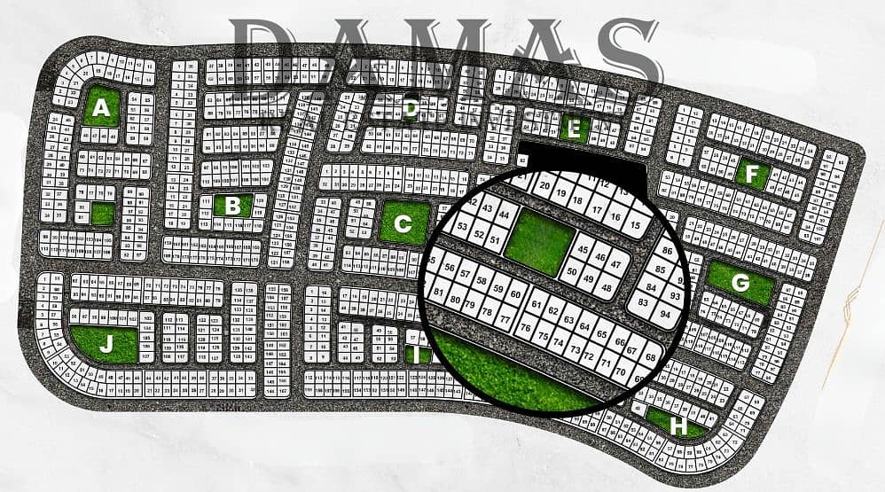 11 WhatsApp Image 2026-01-21 at 15.34. 59. jpeg