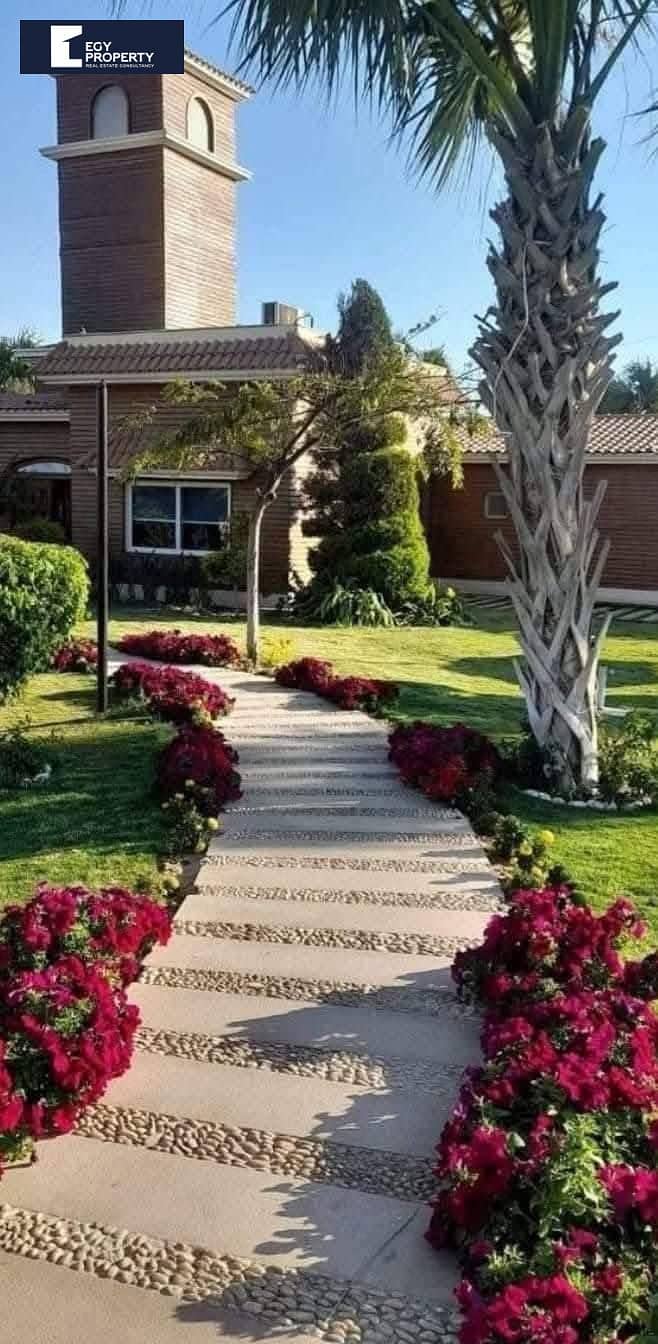 10 536248197_122296721618030251_2090185489366108897_n. jpg