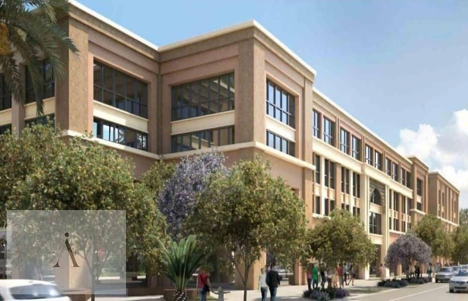 3 photo_4_2025-02-26_02-00-56. jpg