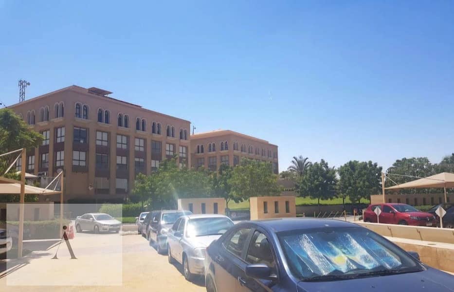 4 photo_1_2025-02-26_02-00-56. jpg