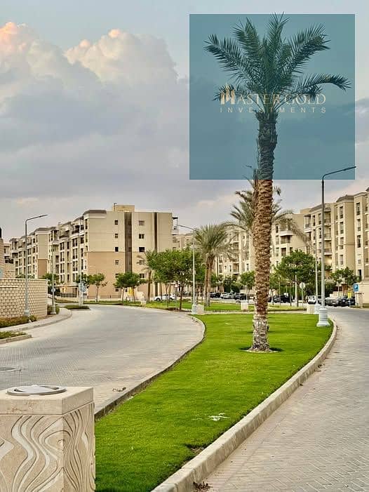 25 615948439_122211346490379319_6605101579742853212_n. jpg