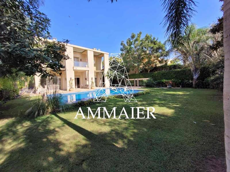 13 7556663a-5254-41e2-81b7-9bc1cbadb326. jpg