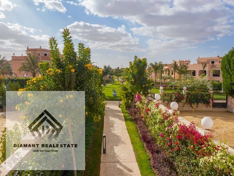 9 e8f1286b-e14d-4f6d-9eec-63d2f567e00b. jpg