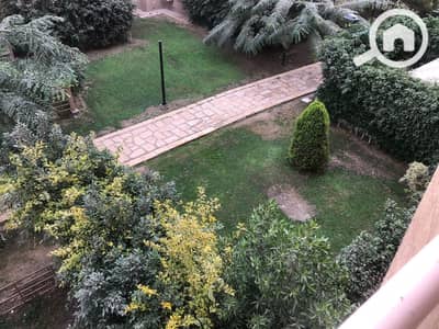 2 Bedroom Apartment for Rent in Madinaty, Cairo - 54739805-d402-4c6d-a2a5-e4db7a722ed1. jpg