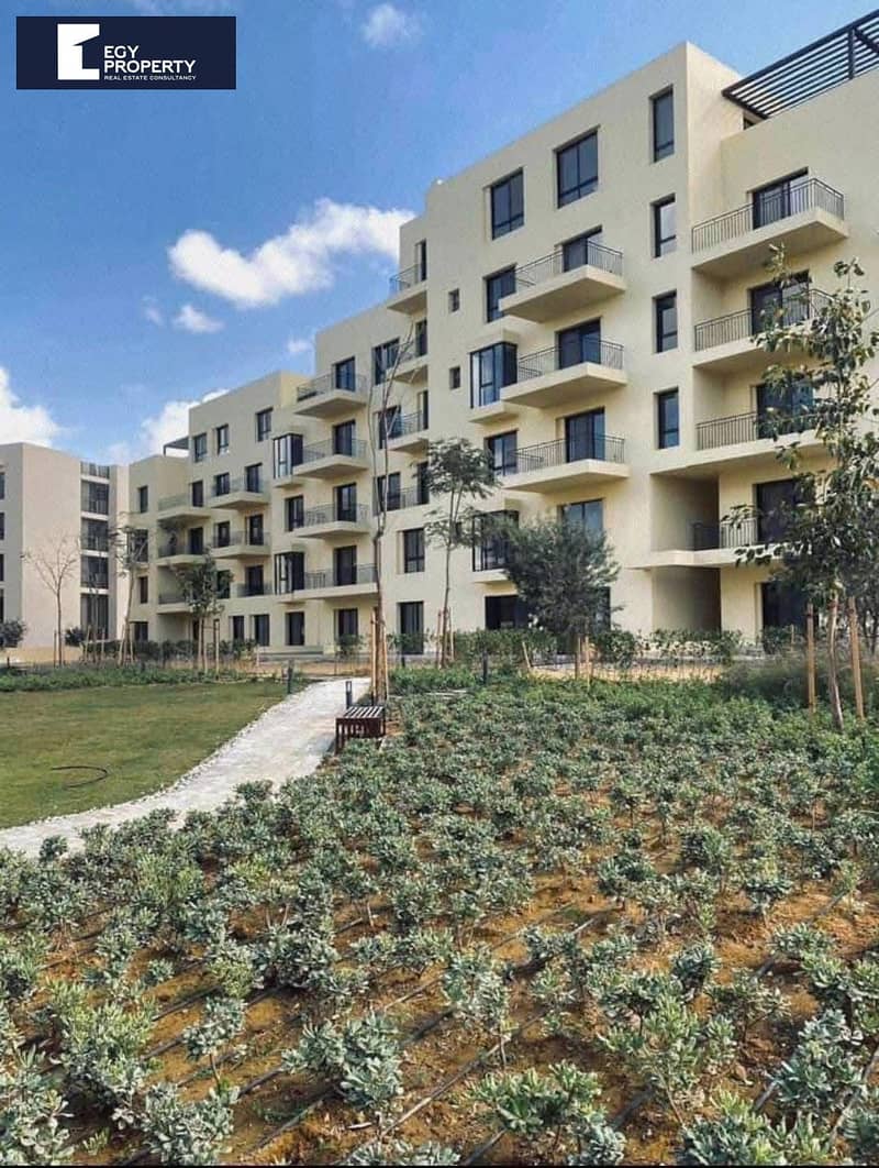 10 545606657_122136199016839657_4783648011456538889_n. jpg