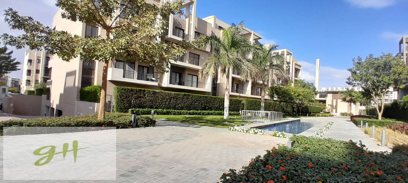 5 20251229_140531. jpg