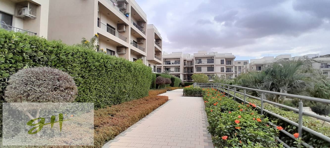 10 20251229_143117. jpg