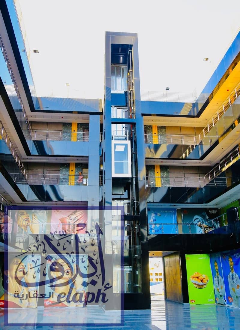 11 491957643_122101688294879363_1391830967436998205_n. jpg