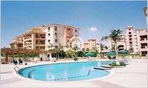 8 photo_1_2025-12-29_12-44-54 (2). jpg