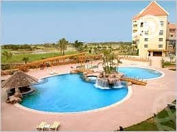 9 photo_2_2025-12-29_12-44-54 (2). jpg