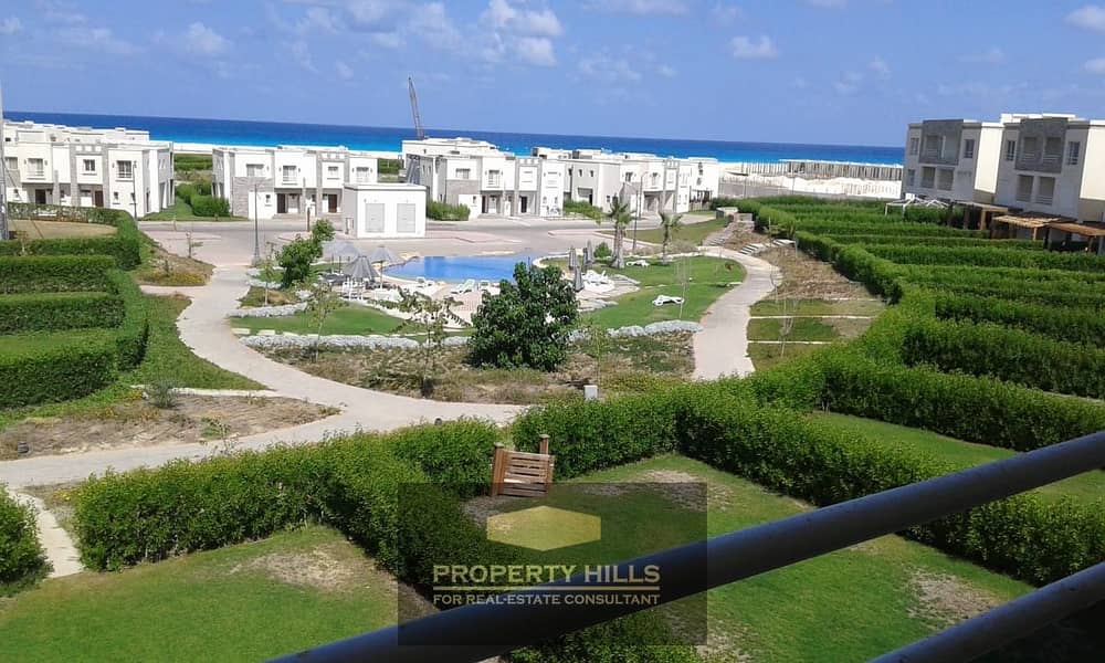 10 e7c675e6-37a1-4001-a316-2f766adace98. jpg