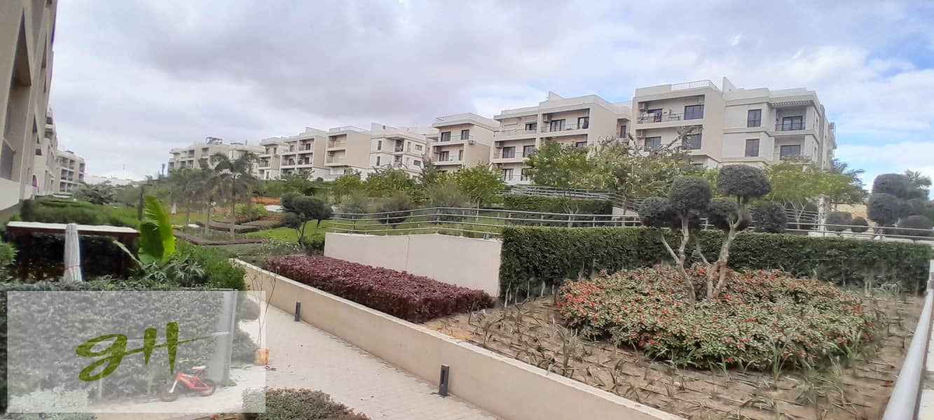 4 20251229_142235. jpg