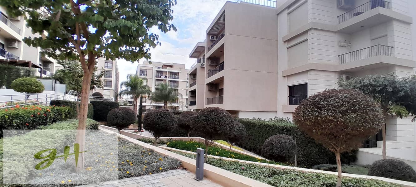 11 20251229_141342. jpg