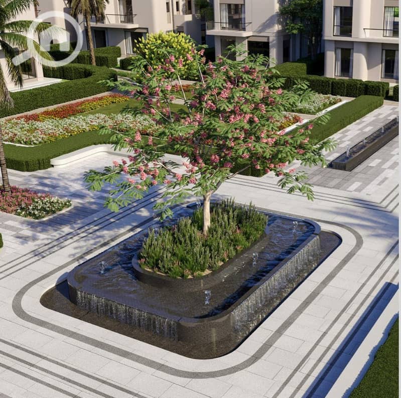 6 photo_3_2026-01-21_14-37-31. jpg