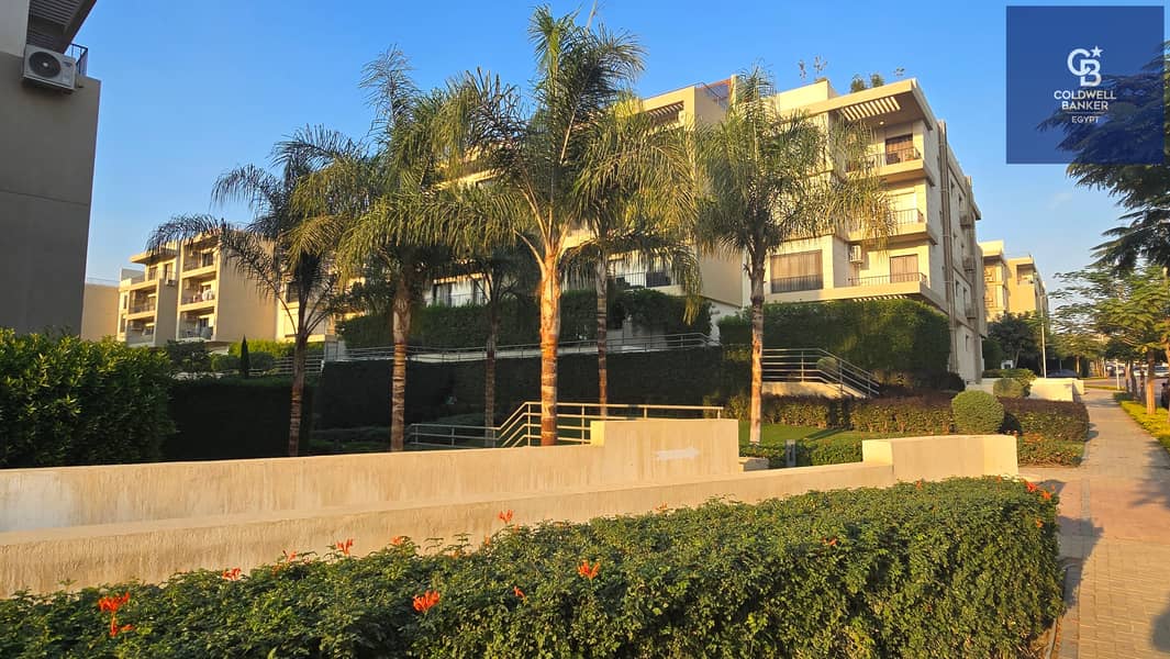 19 20251117_155321. jpg