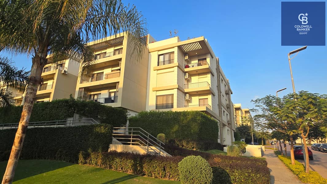 20 20251117_155335. jpg