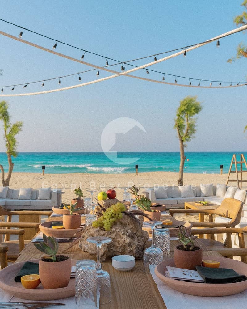 4 WhatsApp Image 2026-01-19 at 3.59. 32 PM (1). jpeg