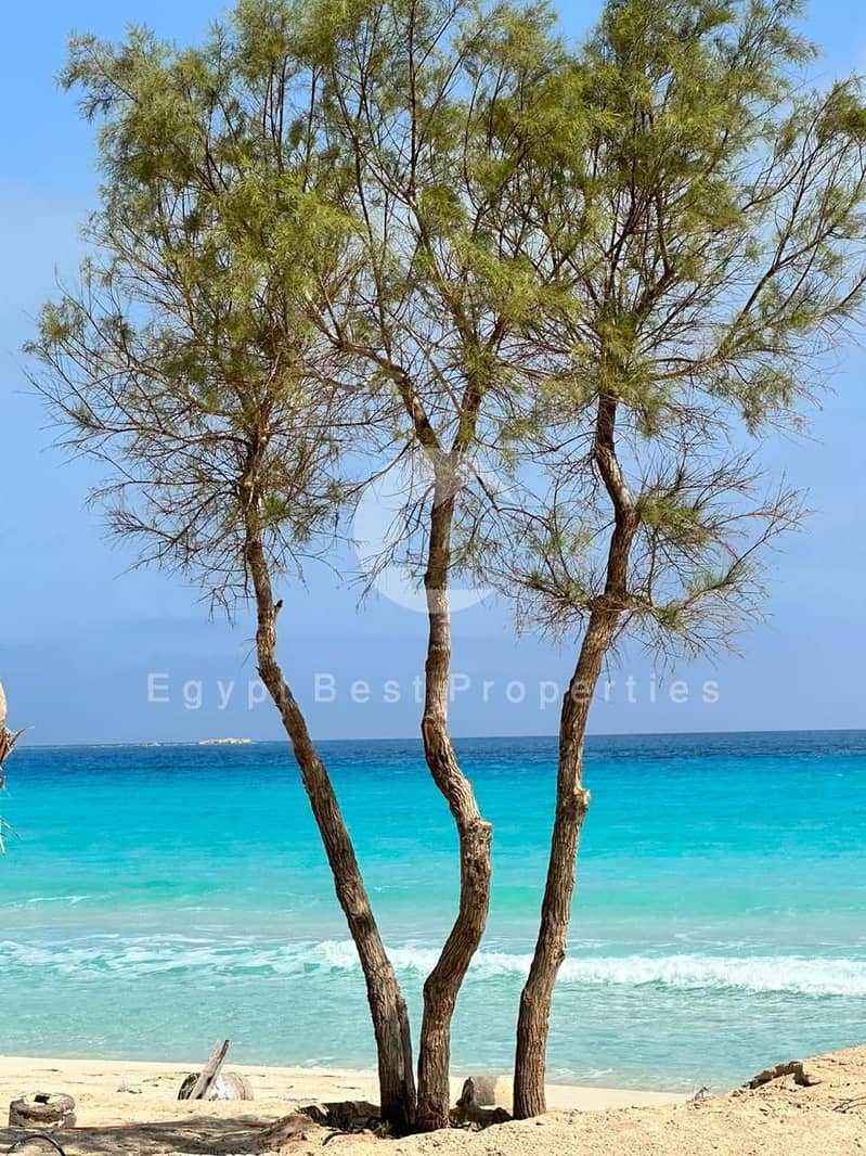 7 WhatsApp Image 2026-01-19 at 3.58. 40 PM. jpeg