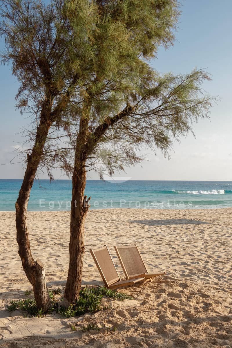 12 WhatsApp Image 2026-01-19 at 3.59. 31 PM. jpeg