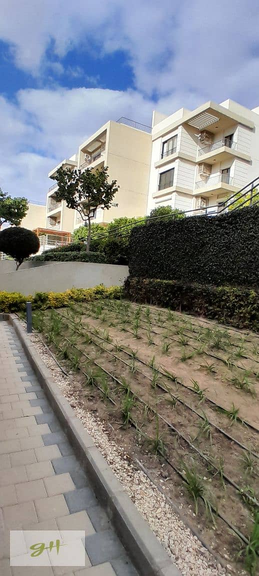 5 20251229_141155. jpg