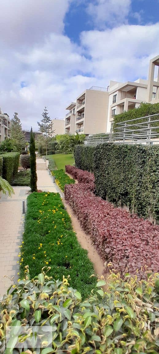 6 20251229_141242. jpg