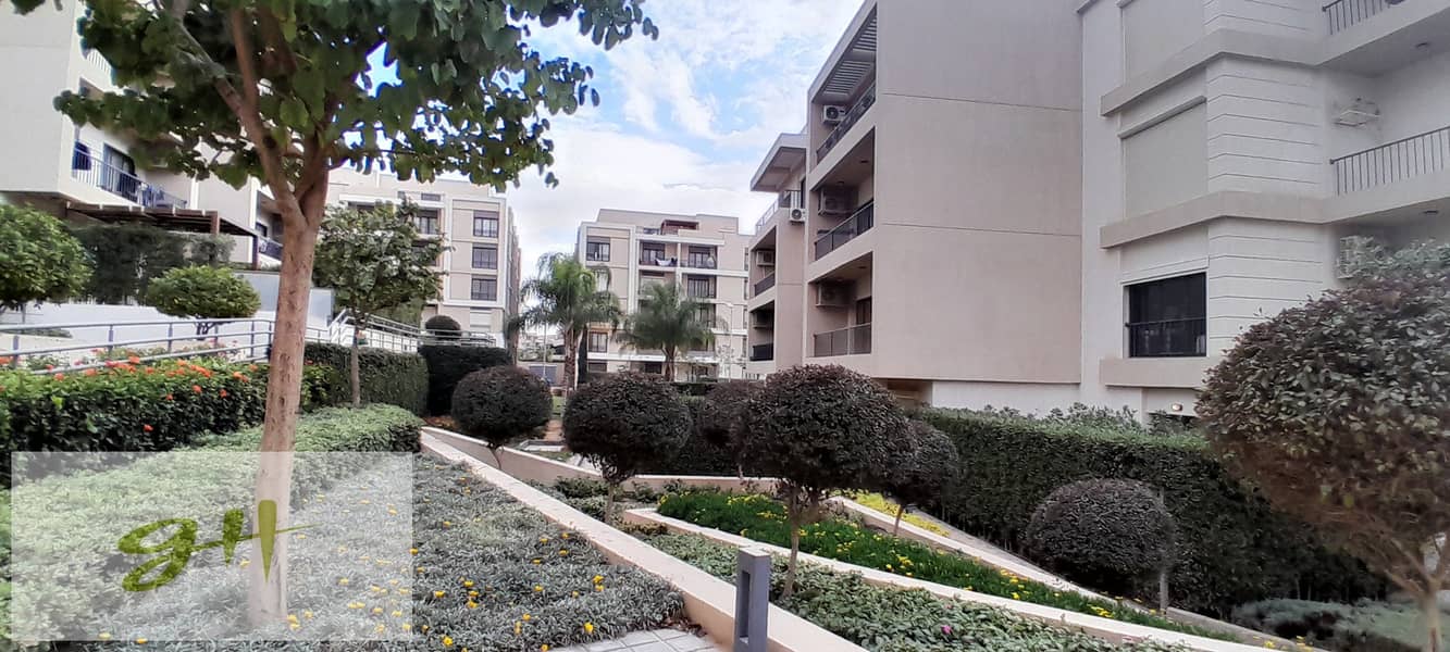 7 20251229_141343. jpg