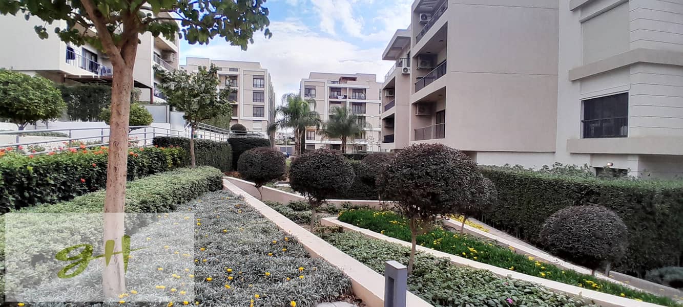 8 20251229_141345. jpg