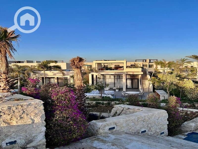 4 535bc167-7ab7-44c1-b51d-0893fbd41ed5. jpg