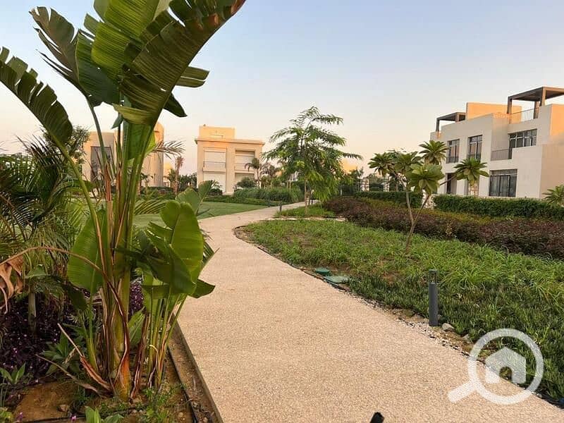 6 93e644b5-8629-4c50-ac50-cac357cb33c0. jpg