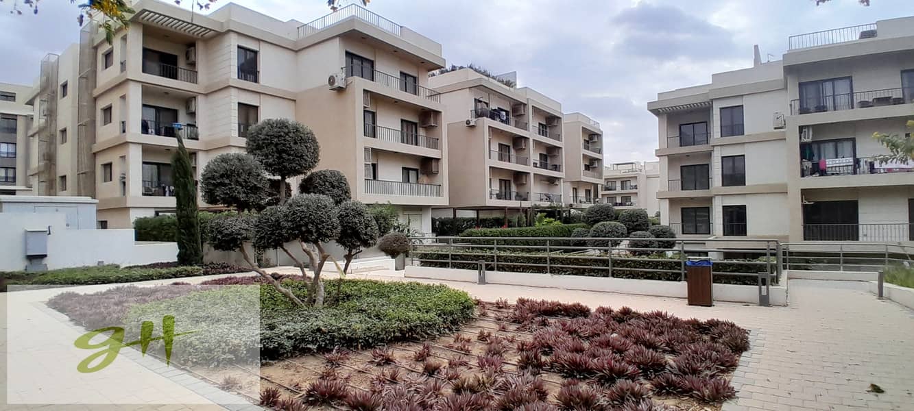 4 20251229_143309. jpg