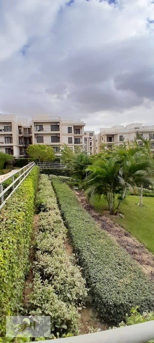 6 20251229_143141. jpg