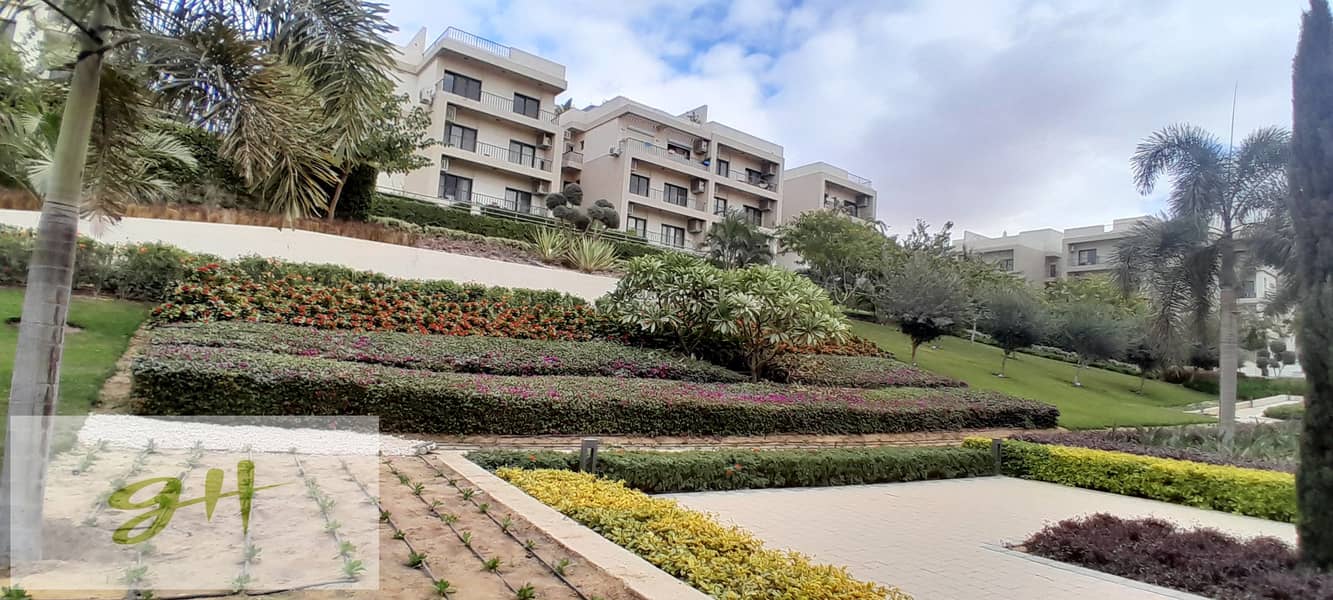 11 20251229_142426. jpg