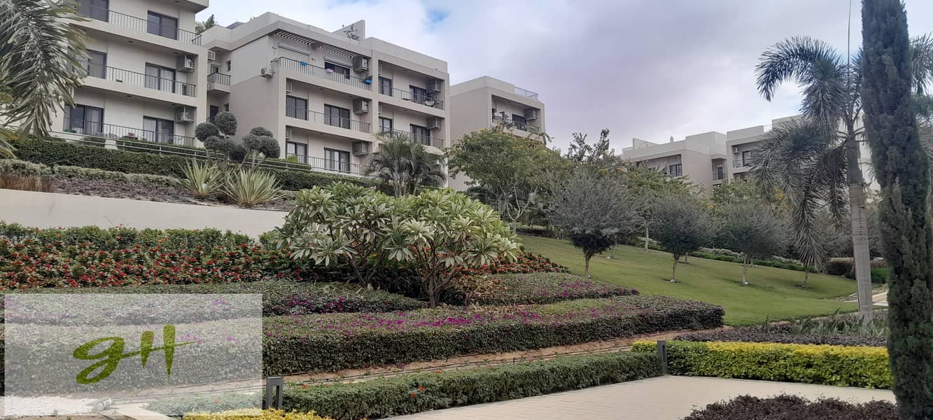 12 20251229_142445. jpg