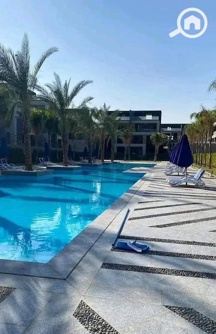 3 26256162-800x600. JPG