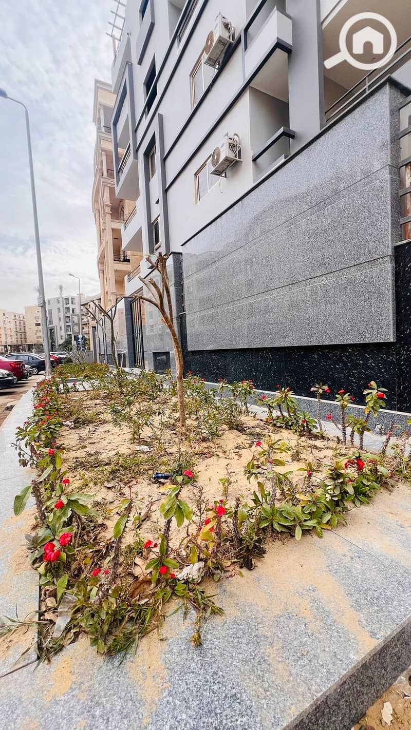 4 7B78C6A3-4FCA-4F7E-B237-A3F86D376722. jpeg