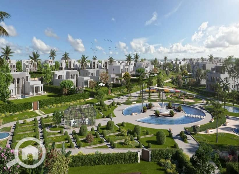 3 Screenshot_21-2-2024_14370_. jpeg