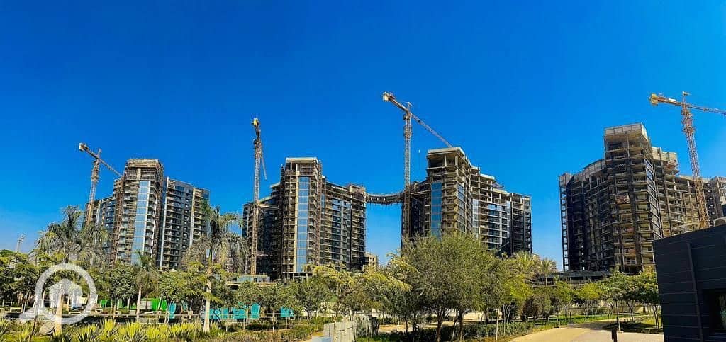 5 WhatsApp Image 2024-10-22 at 2.31. 55 PM (1). jpeg