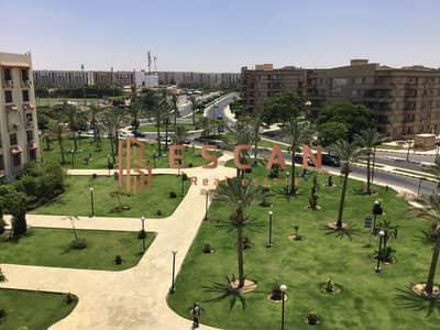 شقة 3 غرف نوم للايجار في القاهرة الجديدة، القاهرة - 9. jpg