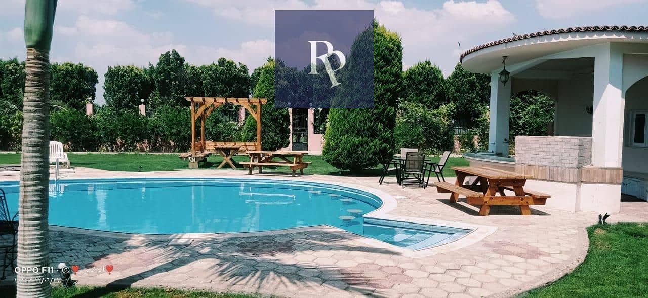 2 e4d82a07-7508-461b-a3ea-6a91e9728141. jpg