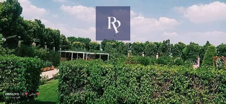 4 6970d71c6eea1. jpg