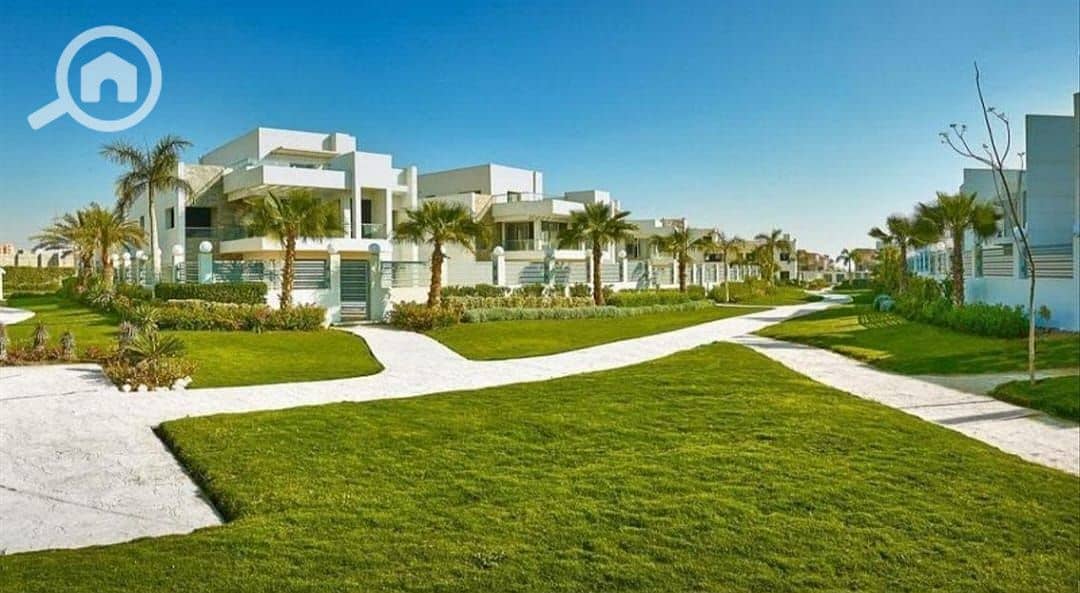 3 WhatsApp Image 2024-07-17 at 2.20. 56 PM. jpeg